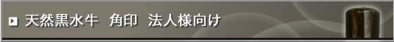天然黒水牛印鑑(芯持ち極上)角印